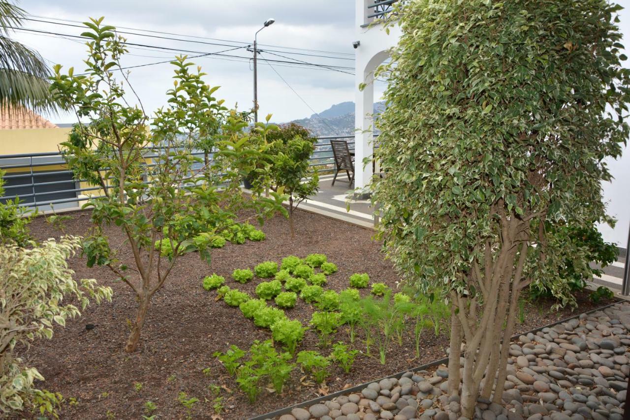 Вілла Sea And Sun 4 You - Choupana House Фуншал Екстер'єр фото